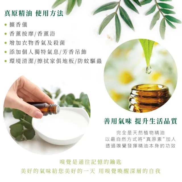 【安美生醫X長庚生物科技】真原精油平安招財組(擴香儀1台+單方精油*3瓶組-精油香味含香茅 檜木 甜橙)