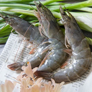 【鮮綠生活】嚴選特大生凍白蝦后 3盒(600g ±10%/盒/約14±3尾 中秋烤肉 燒烤)