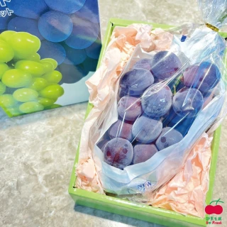 【舒果SoFresh】日本貓眼葡萄單房禮盒 中秋送禮(1串/約500-600g/禮盒)