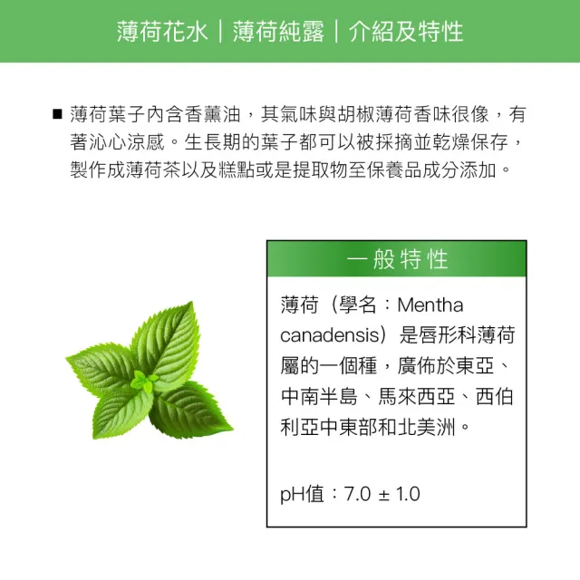 【阿皂屋】薄荷花水 50ml(化妝水 純露)