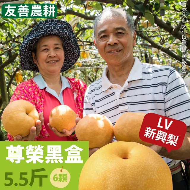 【十翼饌】選果 龍安果園 台中新社特選LV等級新興梨3300gx2盒(550x6顆入/盒_中秋禮盒_光波水梨_產地直送)