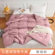 【日禾家居】石墨烯發熱保暖可水洗雙人被2.5KG 棉被 冬被(多色任選)