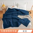 【日禾家居】石墨烯發熱保暖可水洗雙人被2.5KG 棉被 冬被(多色任選)