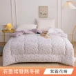 【日禾家居】石墨烯發熱保暖可水洗雙人被2.5KG 棉被 冬被(多色任選)