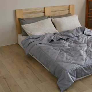 【翔仔居家】石墨烯溫感晚安雙人特大被(特大/冬被/冬天棉被/恆溫保暖/石墨烯)