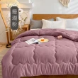 【日禾家居】買一送一 石墨烯保暖水洗被2.5KG 棉被 冬被(雙人180X210cm 多色選)