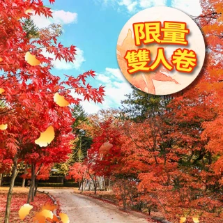 【11月買1送1雙人出發★】清易秋遊趣五日南漢山城道立公園.愛寶樂園.美人魚秀.塗鴉秀(早去晚回足五天)