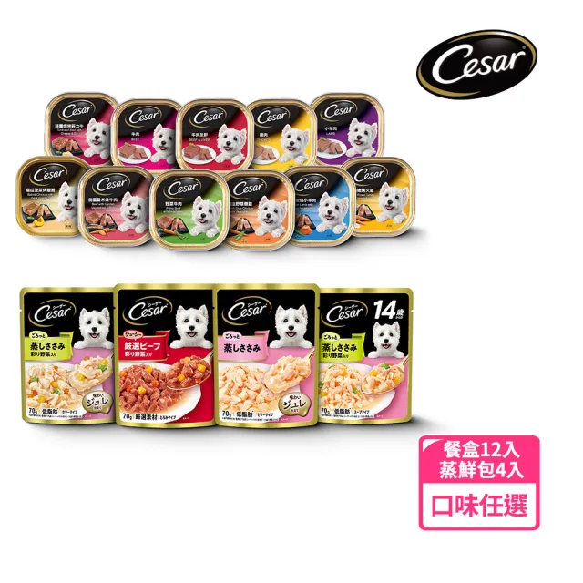 【Cesar 西莎】momo獨家組 寵物/狗罐頭/狗食 任選(餐盒*12+蒸鮮包*4)