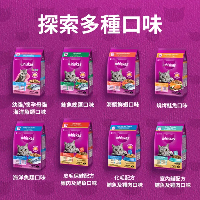 【Whiskas 偉嘉】新客驚喜盒-貓乾糧+貓濕糧