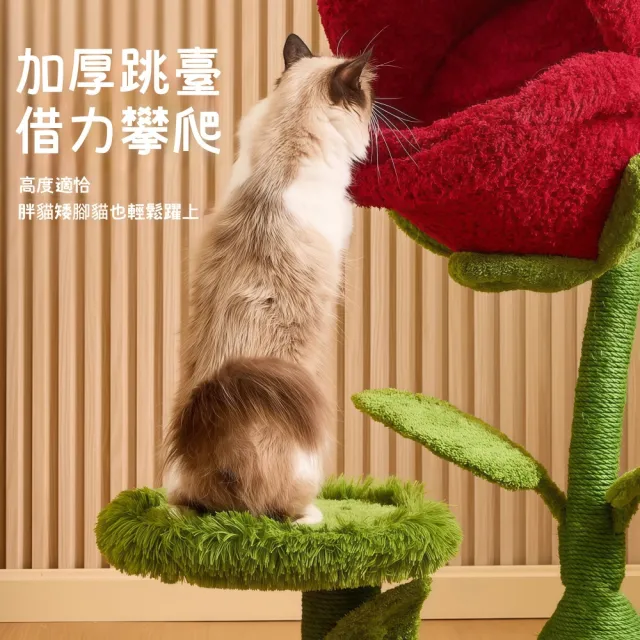 【HUIJIAYIGOU 惠家易購】食人花貓爬架 大型貓窩 劍麻貓抓板(一體小戶型貓咪傢俱 不佔地貓架子)