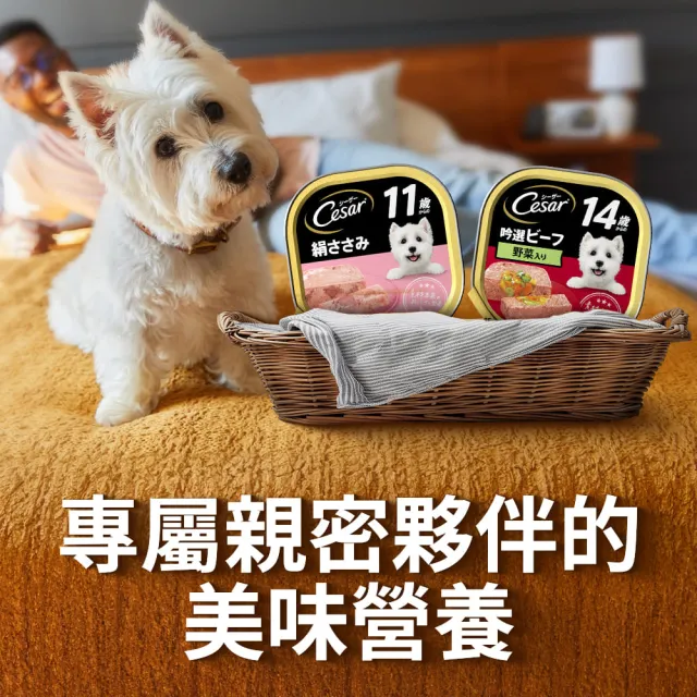 【Cesar 西莎】熟齡餐盒 高齡犬 100g*24入 寵物/狗罐頭/狗食