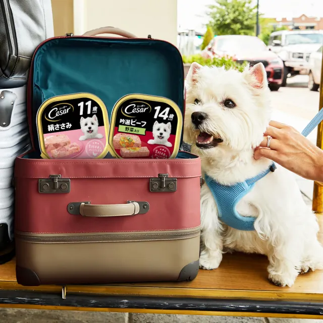 【Cesar 西莎】熟齡餐盒 高齡犬 100g*24入 寵物/狗罐頭/狗食