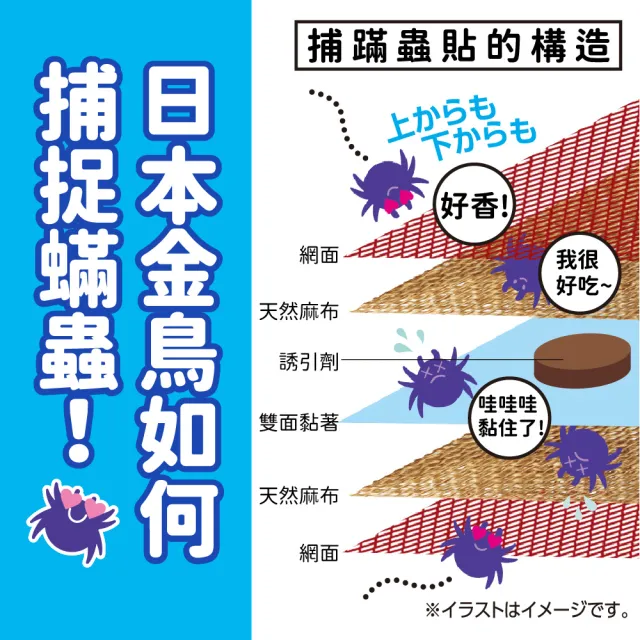 【KINCHO 日本金鳥】捕蟎蟲貼紙3枚入