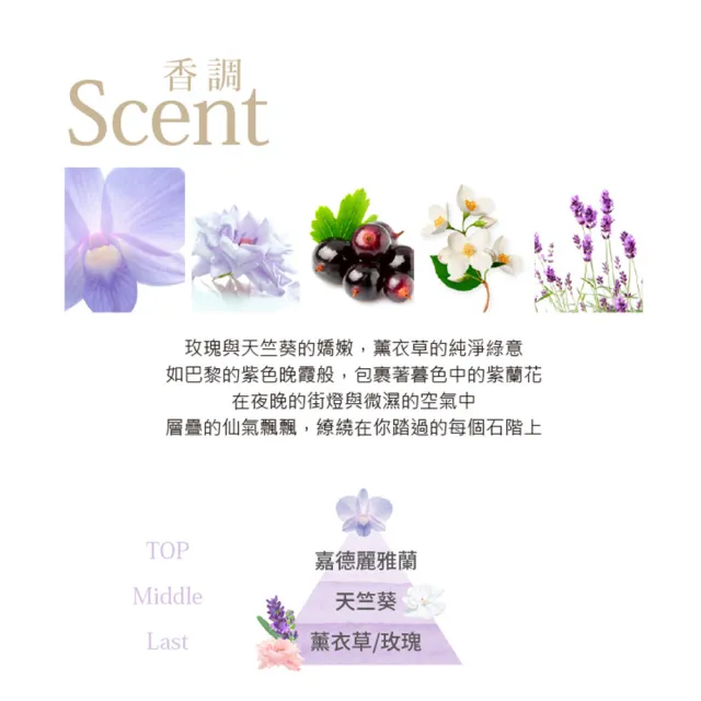 【LAWRENCE 柔綸絲】紫曜閃耀淡香水30ml(專櫃公司貨)