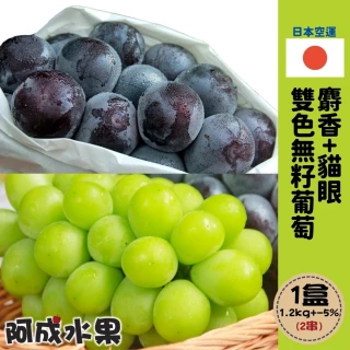 【阿成水果】日本空運麝香+貓眼雙色葡萄2串1.2kgx1盒(空運_肉質細_多汁甜度高_冷藏配送)