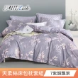 【MIT iLook】超值2入 台灣製優質萊賽爾天柔絲床包枕套組(雙人-多款花色可選)