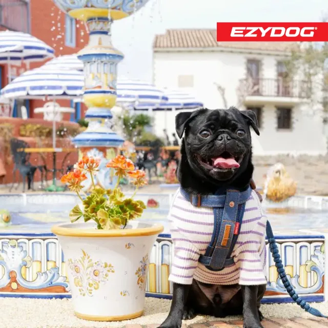 【EZYDOG】狗體工學胸背帶 丹寧 L號(送400元寵物車用束帶 寵物胸背帶 H型胸背帶 寵物用品 牽繩)