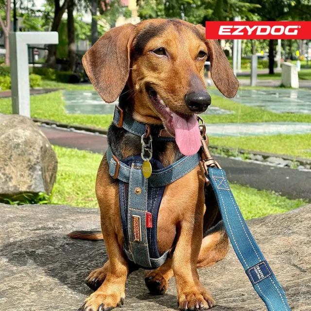 【EZYDOG】狗體工學胸背帶 丹寧 L號(送400元寵物車用束帶 寵物胸背帶 H型胸背帶 寵物用品 牽繩)