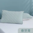 【Tonia Nicole 東妮寢飾】TopCool冰凍涼感枕頭保潔墊2入(十色任選)
