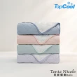 【Tonia Nicole 東妮寢飾】TopCool冰凍涼感墊/涼感保潔墊+枕頭保潔墊2入-十色任選(雙人)