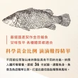 【安永鮮物】健康御品鱸魚精x2盒-常溫(60ml*6入/盒/威品嚴選/中華總教練曾豪駒代言)
