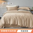 【MIT iLook】台灣製 萊賽爾天柔絲枕套2入(多款可選)