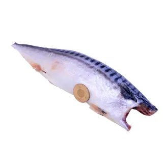 【優鮮配】5L大挪威薄鹽鯖魚16片(250g/片)