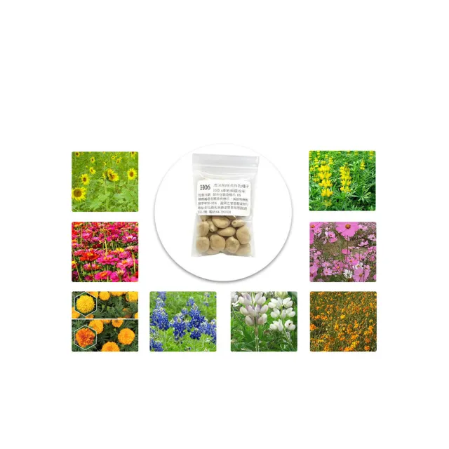 【蔬菜工坊】冬季可栽培花卉種子系列-各包裝數量詳見內文及圖片(魯冰花 波斯菊 蜀葵 金盞花)