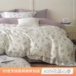 【貝兒居家寢飾生活館】60支100%蘭精萊賽爾天絲兩用被床包4件組(雙人/加大/均一價)