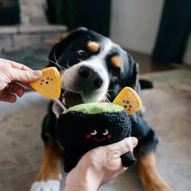 【2026】莎莎醬推薦10款高評價莎莎醬品牌排行 | 好吃美食的八里人