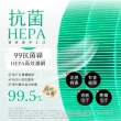 【綠綠好日】兩入組_適用 戴森 Dyson HP06/TP06/PH02/HP07/TP07/HP09 抗菌HEPA濾芯(濾網)