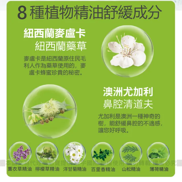 【BEGGI】BGO精油通鼻貼_兒童款 3盒入（48片）(台灣代理公司貨 鼻塞 鼻子過敏 噴嚏 舒眠 居家必備)