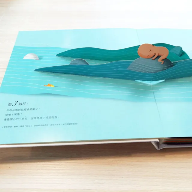 你在媽媽肚子裡的樣子【精美書盒典藏版】（1：1真實比例小寶寶立體書 呈現媽媽懷胎九月的胎內樣貌） 