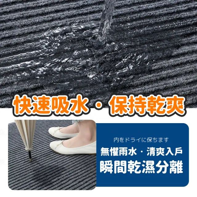 【夢巴黎】刮沙地墊 40*60CM 2入組(地墊 腳踏墊 玄關地墊 墊 門口地墊 防滑 防滑地墊 室外地墊)