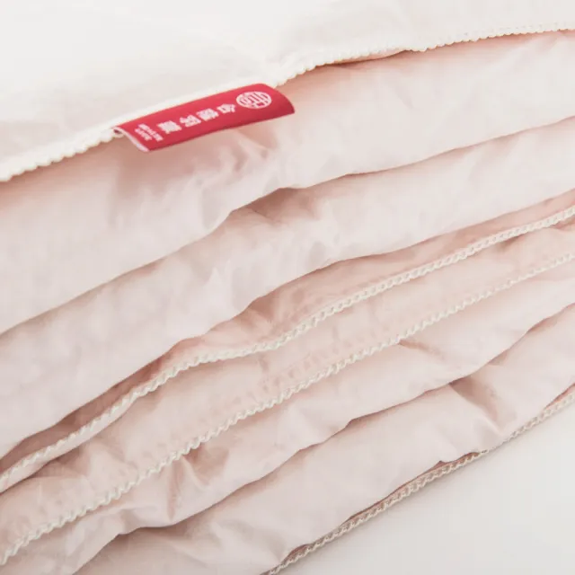 【合隆羽藏】CAS台灣原產90%白鴨絨被｜中保暖｜加大(棉被/羽絨被)