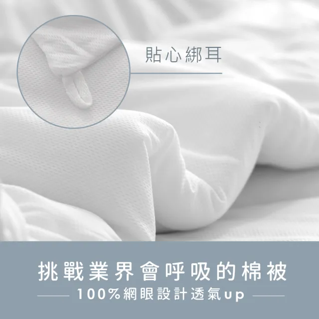 【AnD HOUSE 安庭家居】德國奈米銀離子水洗科技羽絲絨被-雙人6x7尺(可水洗/寒流/保暖/被胎/棉被/冬被)