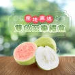 【初品果】產地直送雙色蜜芭樂禮盒5斤x4盒(黃金蜜+紅心芭樂/國民水果/產地直送/禮盒)