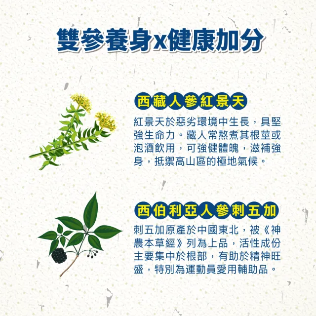 【順天本草】紅景天氧沛 膠囊 2盒組(60顆/盒x2 紅景天 刺五加)