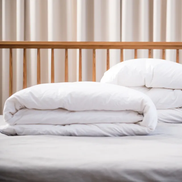 【合隆羽藏】加大｜加拿大95%白鵝絨被｜中保暖 棉被/羽絨被