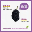 【老農手摘】桑葚濃縮果粒汁600gX4瓶
