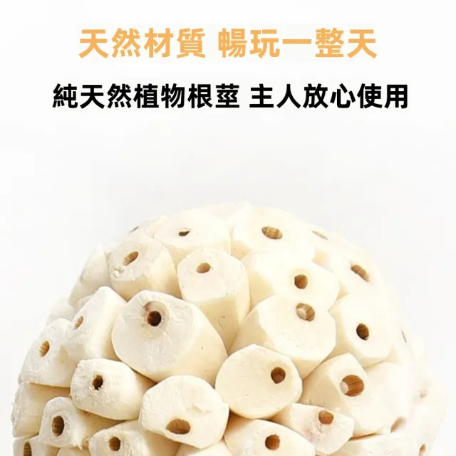 【森田小倉】鸚鵡通草球玩具咀嚼解悶(趣味解壓啃咬益智樂趣虎皮鳥訓練磨牙玩具)