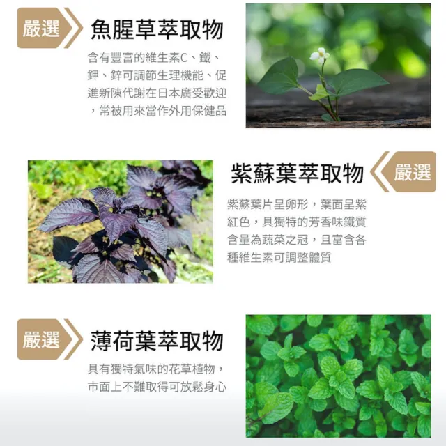【SPOTLESS 植靠淨】淨冠寶膠囊4入組(共80粒/魚腥草配方/迷你好吞/攜帶便利)