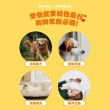 【HeroMama】解悶雞腿藏食狗玩具(寵物玩具)