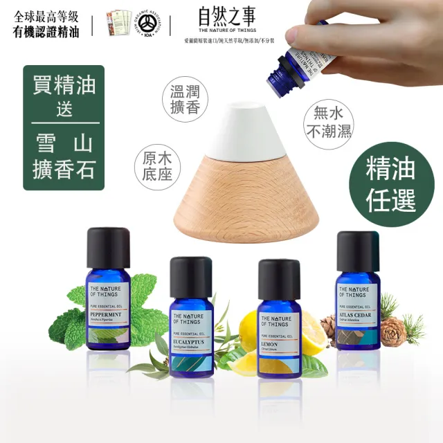 【2026必買】擴香木終極推薦清單 | 好吃美食的八里人