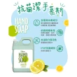 【Green 綠的】植物系 潔手慕斯3800mlx2 檸檬伯爵加侖桶(洗手乳 洗手慕斯)