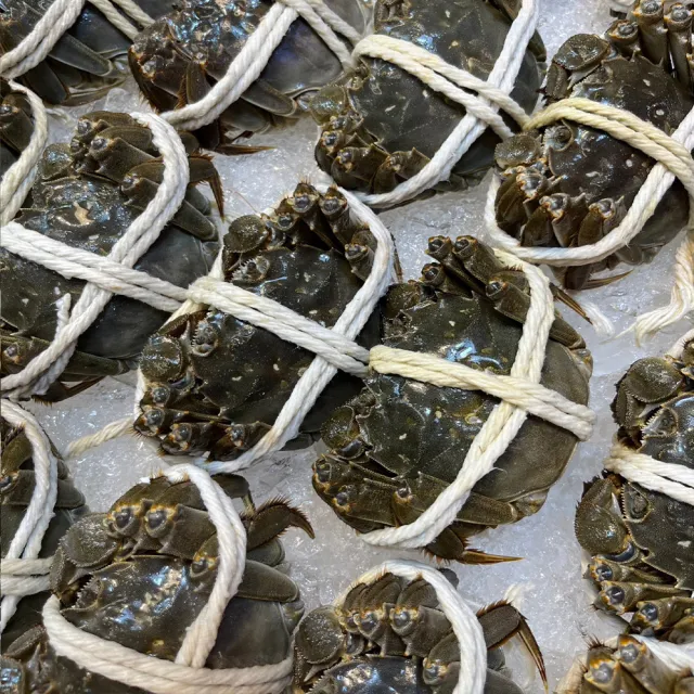 【華得水產】保證活蟹直送嚴 江蘇大閘蟹(12隻_4-4.5兩/隻)