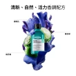 【L’OREAL 巴黎萊雅PRO】絲漾博水楊酸控油洗髮精300ml