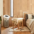 【dyson 戴森】BP02 Purifier Big+Quiet 強效極靜抗敏空氣清淨機(白色及柔霧銀/全機密封/長效濾網)