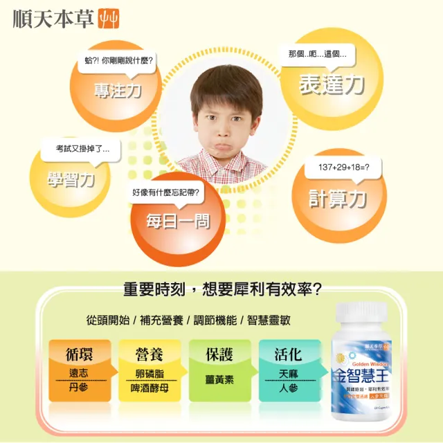 【順天本草】金智慧王膠囊 2盒組(60顆/盒x2 思緒靈活)