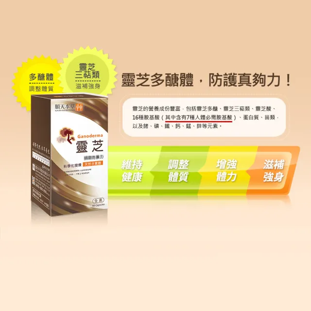 【順天本草】靈芝子實體 膠囊3盒組(60顆/盒X3盒)